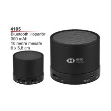 4105 Bluetooth Hoparlör
