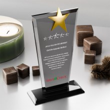 BM 3005-FY Kristal Plaket
